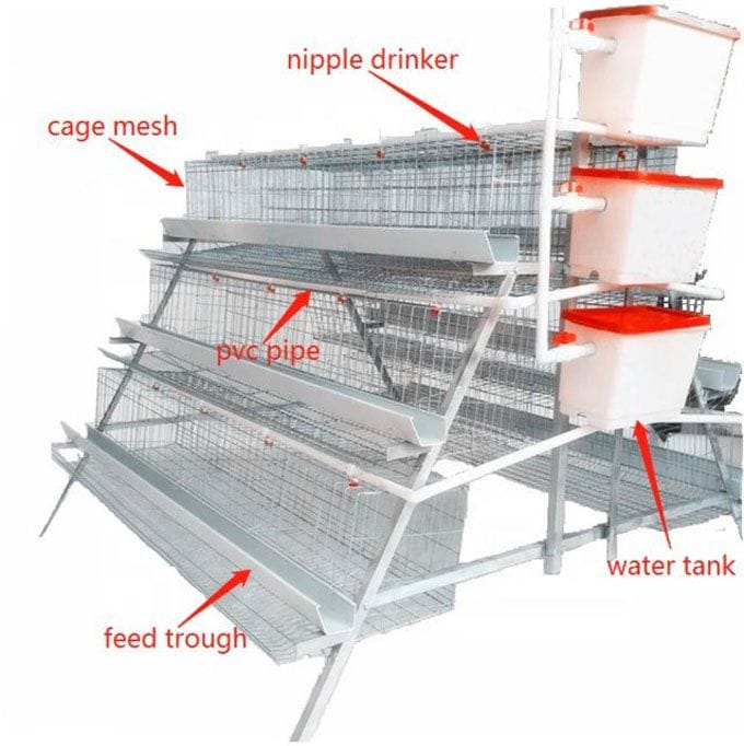 Top 10 Benefits of Automatic Chicken Cages for Layers