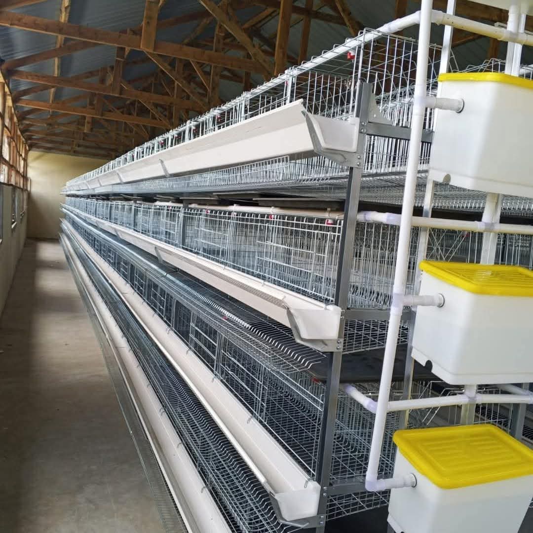 128-Bird H-Type Layer Cage in Kenya | KSh 42,000